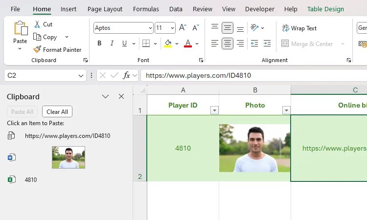 Bảng tính Excel hiển thị các mục trong ngăn Clipboard, và các mục đó đã được dán vào các ô trong bảng tính.