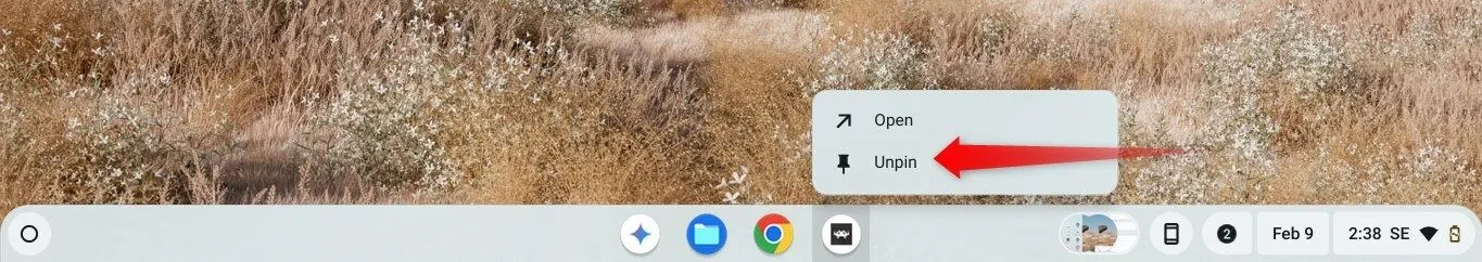 Bỏ ghim ứng dụng khỏi thanh Shelf trong ChromeOS.