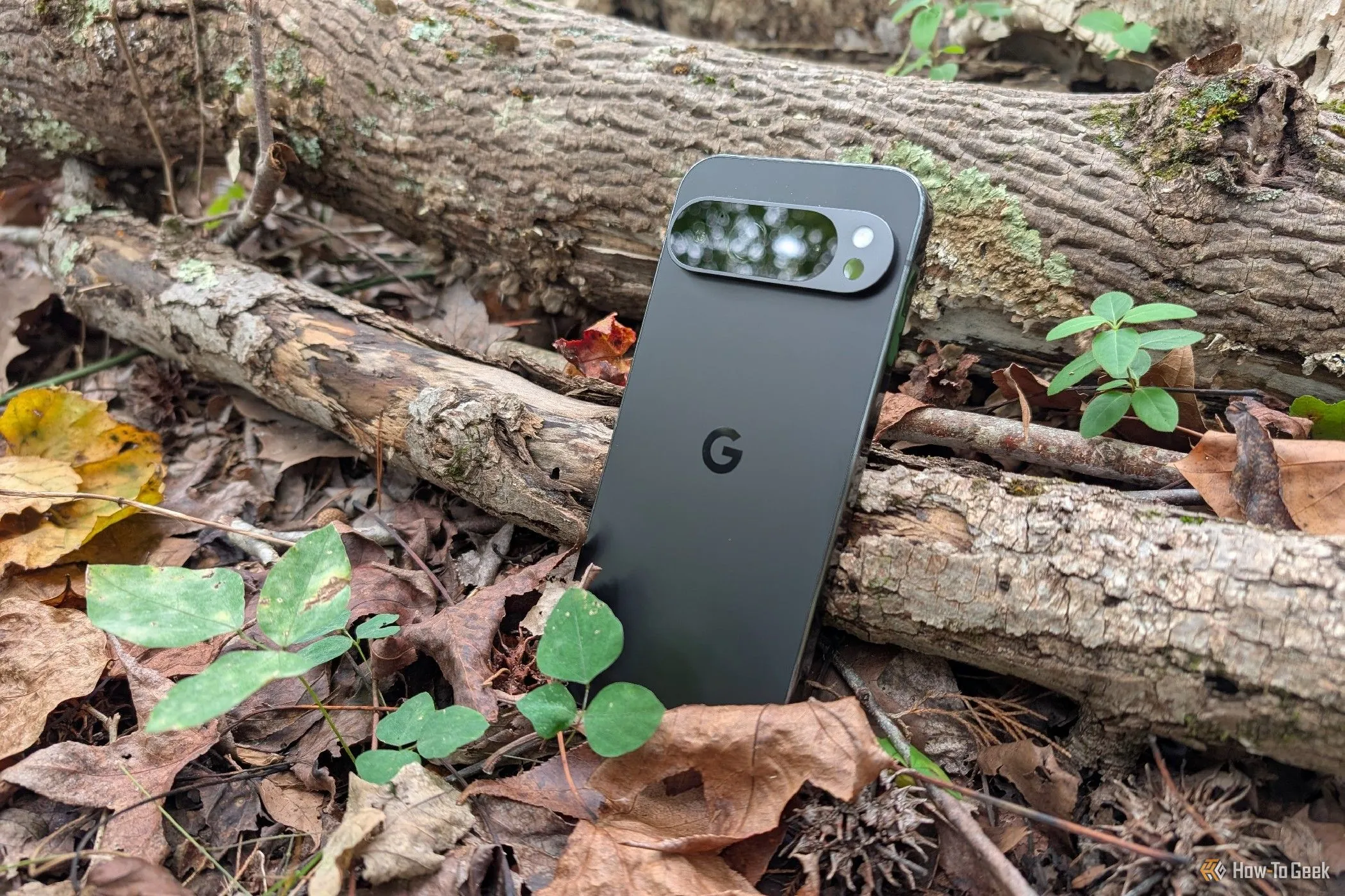 Điện thoại Google Pixel 9 Pro XL với cụm camera lớn nổi bật giữa lá cây và cành khô