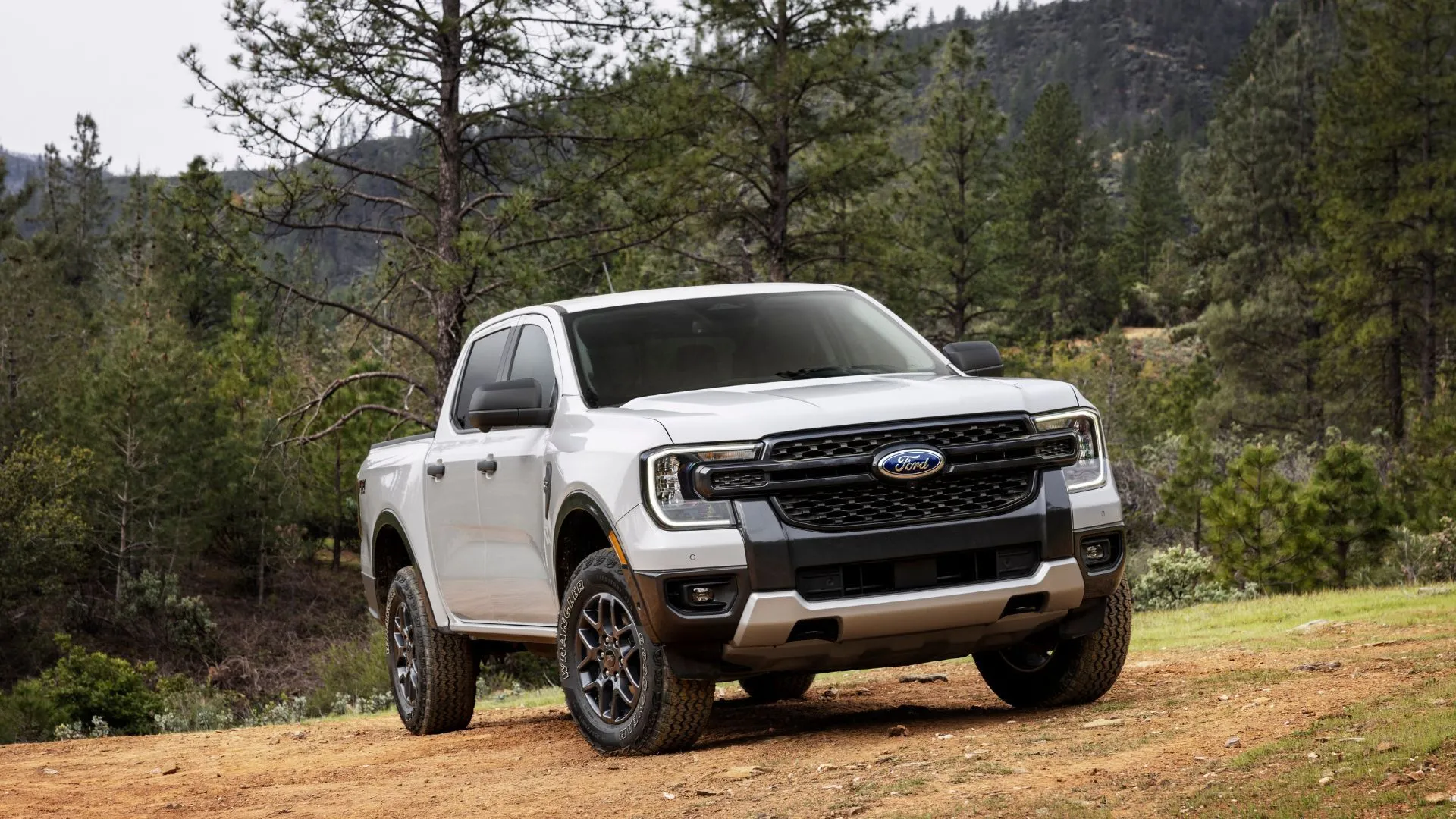 Ford Ranger 2024 màu trắng, mẫu xe nằm trong diện thu hồi do lỗi hệ thống cửa sổ điện.