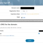 Hình ảnh trang chủ Free Domain hiển thị trang đăng ký tên miền miễn phí trọn đời