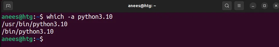 Kết quả lệnh which -a python3.10 hiển thị đường dẫn file thực thi Python trong Linux
