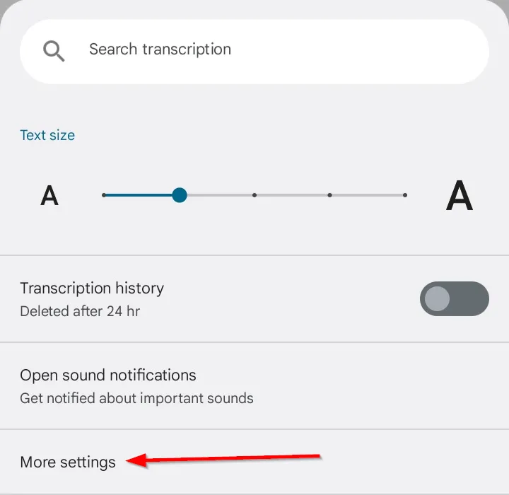 Màn hình cài đặt nâng cao của Live Transcribe, hiển thị tùy chọn &quot;Thêm cài đặt&quot;.