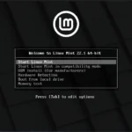 Màn hình khởi động Grub của Linux Mint Live từ USB, hiển thị các tùy chọn khởi động hệ thống.