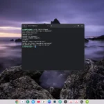 Màn hình terminal Linux đang chạy trên Chromebook, hiển thị thông tin về phiên bản hệ điều hành.