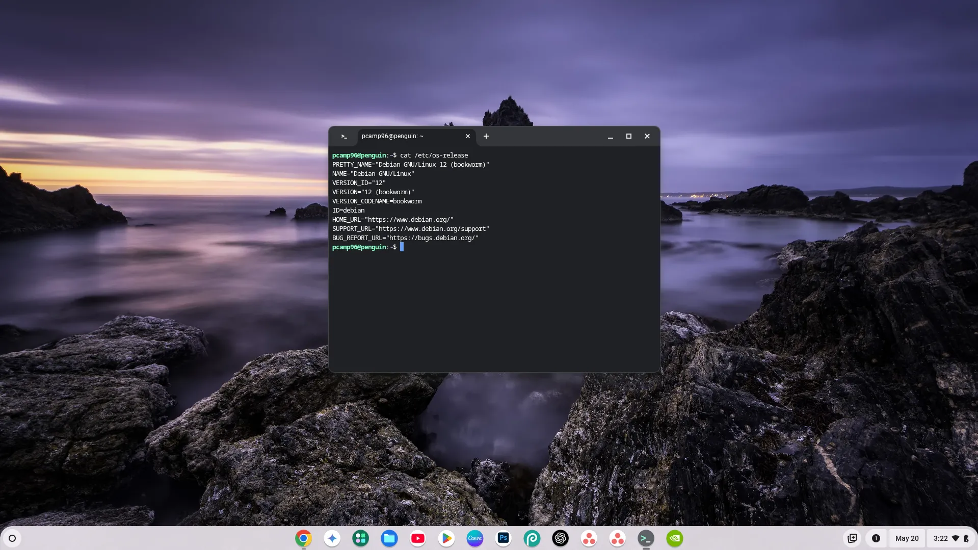 Màn hình terminal Linux đang chạy trên Chromebook, hiển thị thông tin về phiên bản hệ điều hành.