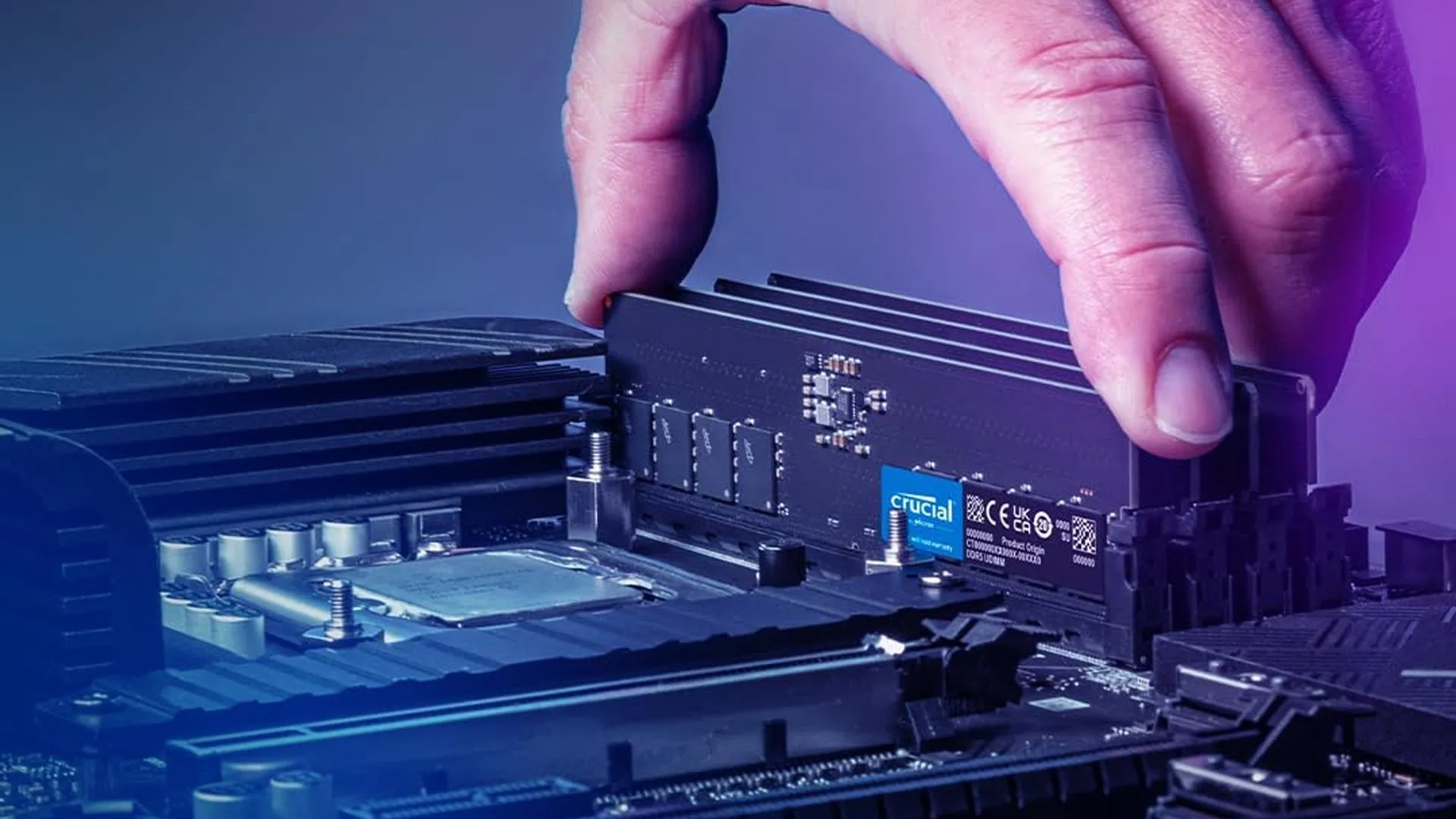Một bàn tay đang cẩn thận lắp đặt kit RAM Crucial DDR5 vào khe cắm trên bo mạch chủ, minh họa quá trình nâng cấp RAM.