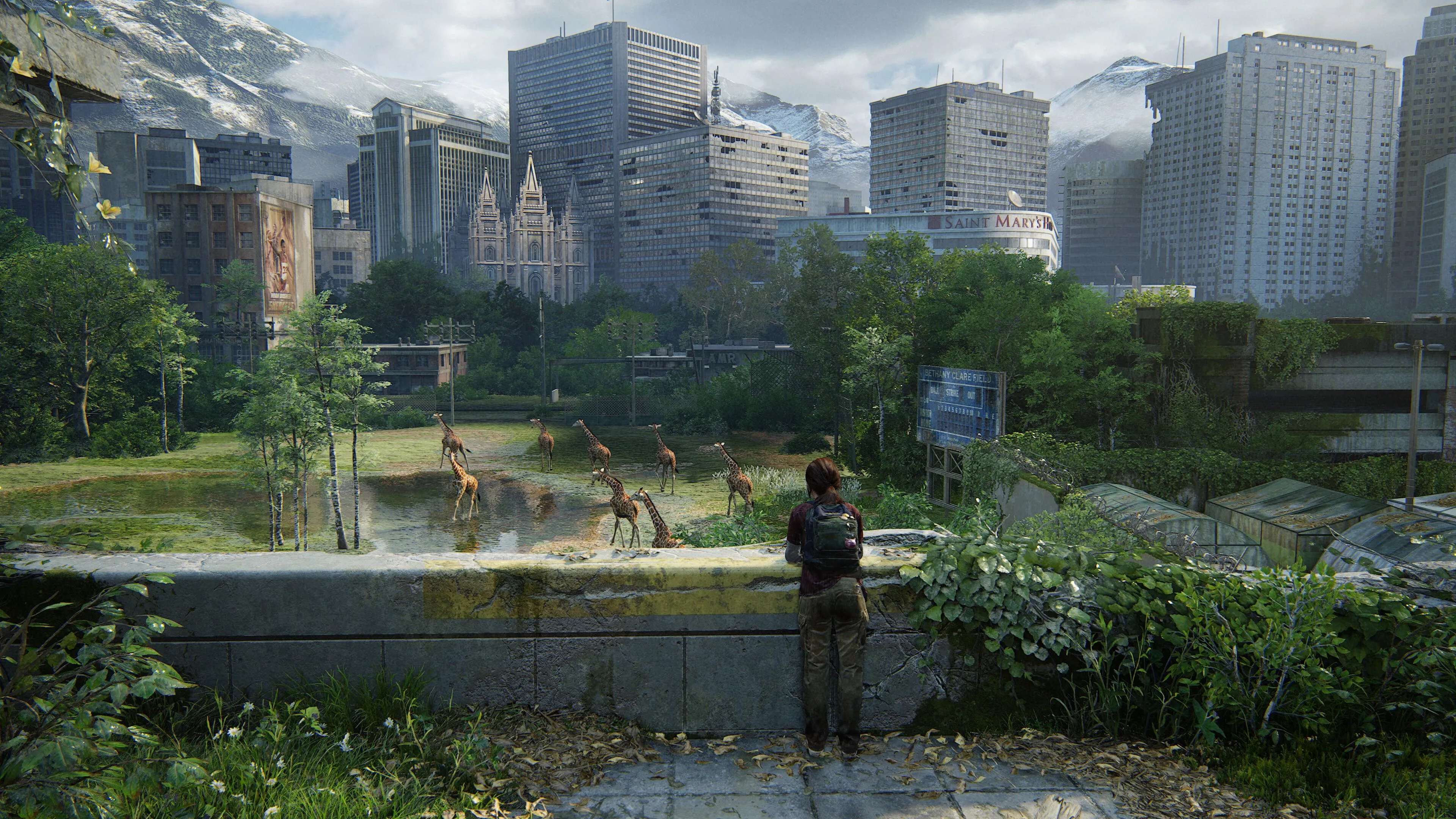 Nhân vật Ellie đang nhìn đàn hươu cao cổ trong The Last of Us: Part 1, một cảnh tĩnh lặng hiếm hoi.