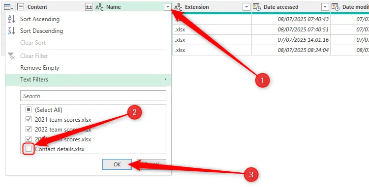 Tệp &quot;Contact Details&quot; bị bỏ chọn trong cột Name của trình chỉnh sửa Power Query của Excel