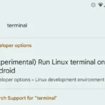 Tìm kiếm tùy chọn "terminal" trong cài đặt nhà phát triển Android trên điện thoại Pixel.