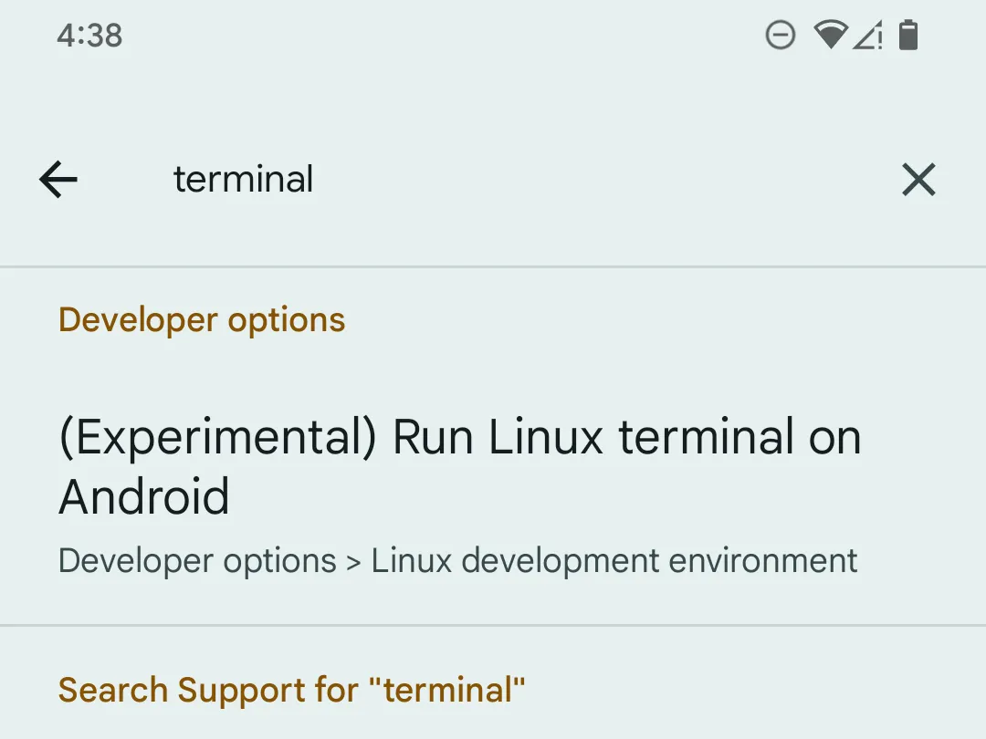 Tìm kiếm tùy chọn "terminal" trong cài đặt nhà phát triển Android trên điện thoại Pixel.