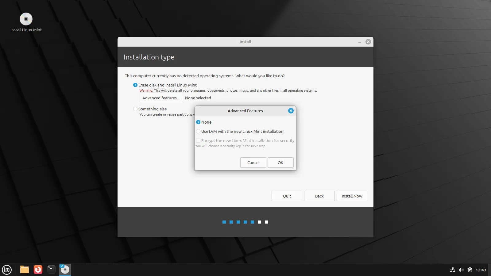 Trình cài đặt Linux Mint hiển thị các tùy chọn loại cài đặt và tính năng nâng cao như mã hóa đĩa.