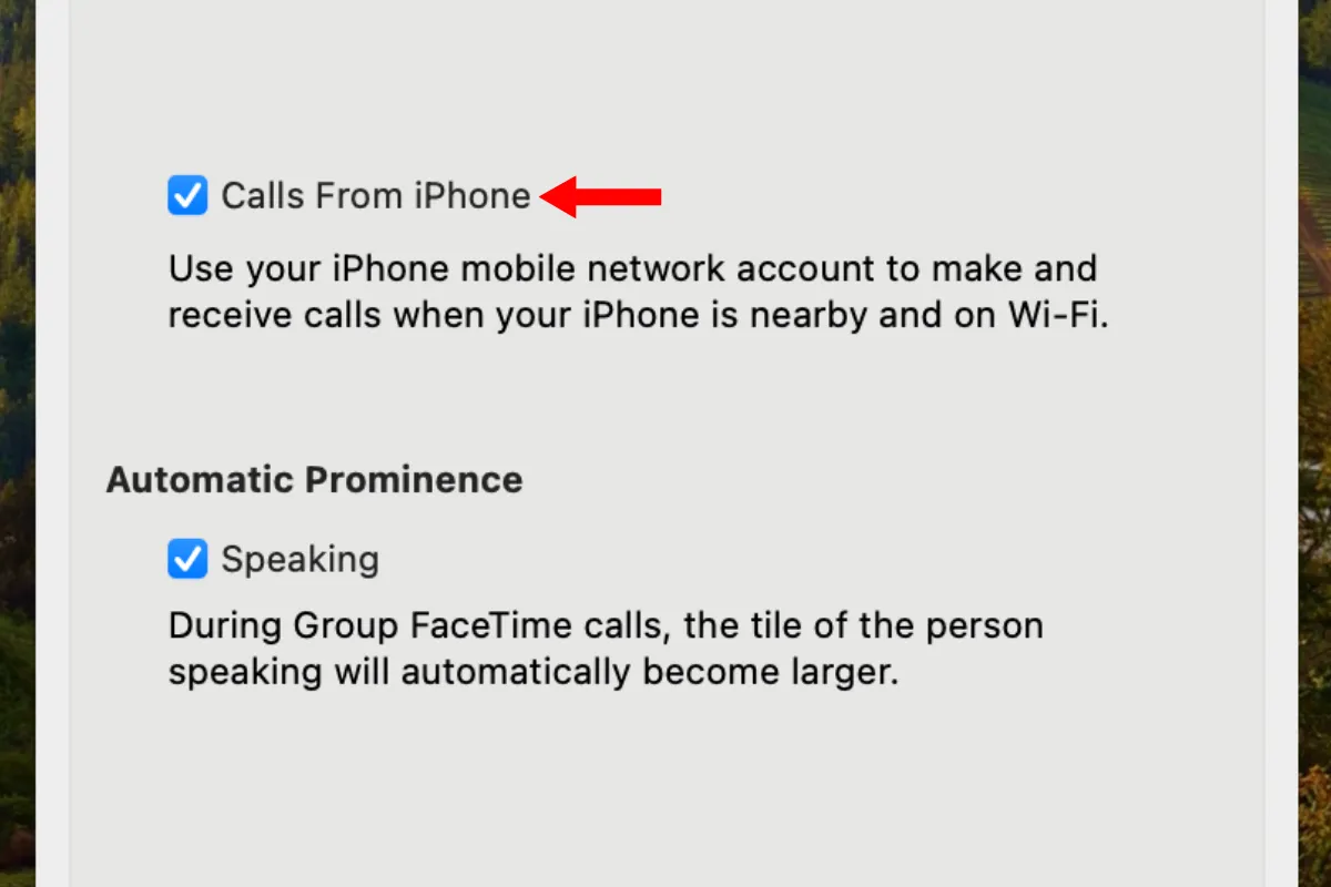 Tùy chọn 'Cuộc gọi từ iPhone' trong cài đặt ứng dụng FaceTime trên Mac.