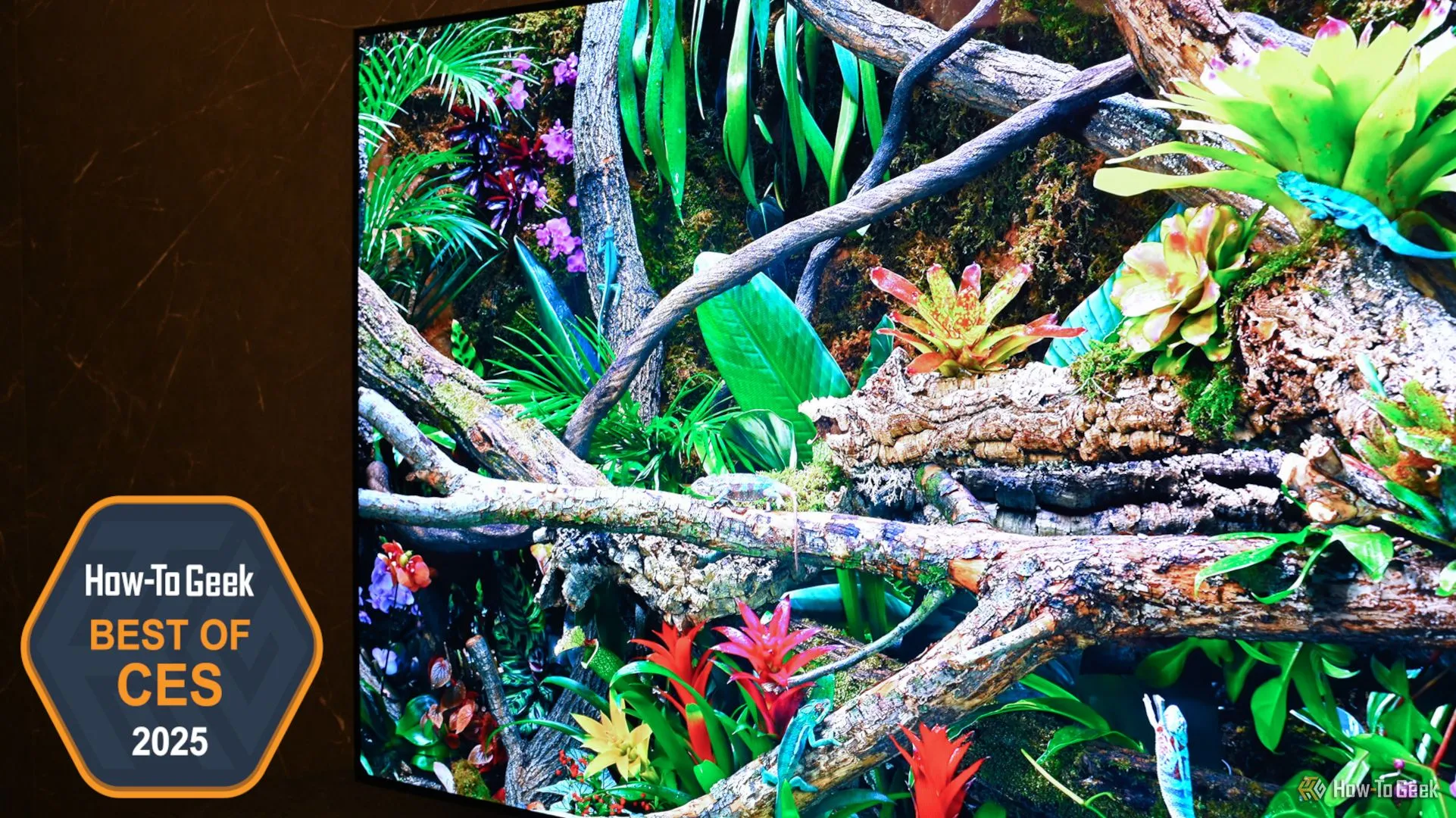 TV Samsung OLED S95F tại CES 2025, nổi bật với độ sáng vượt trội và công nghệ chống lóa